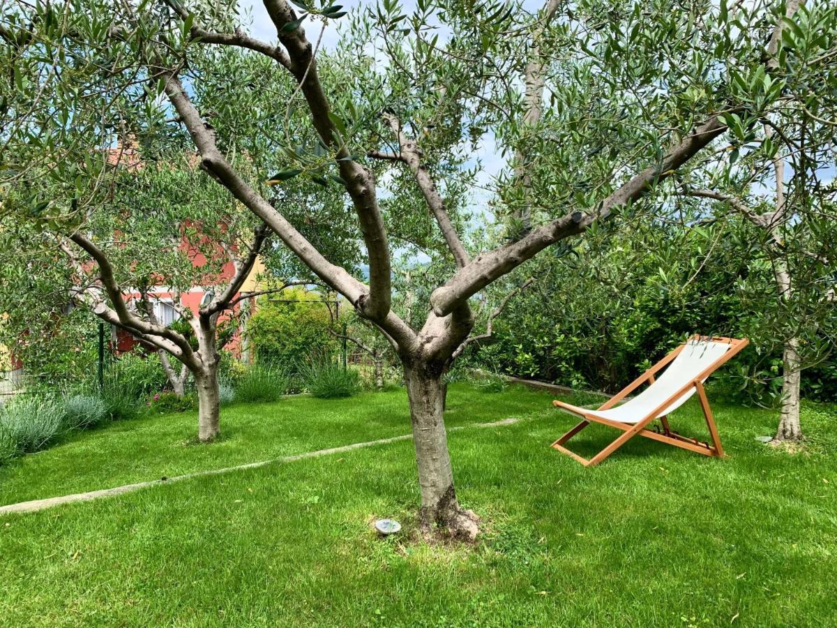 קופר Aloha Apartments מראה חיצוני תמונה