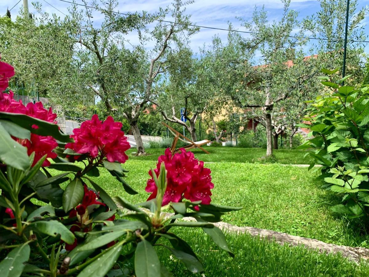 קופר Aloha Apartments מראה חיצוני תמונה